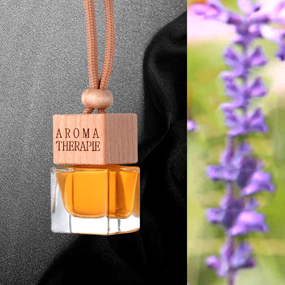 10Ml Car Fragrance Pendant Perfume Oil Diffuser Air Freshener, High-End Rearview Mirror Pendant for Mercedes-Benz Bmw Toyota