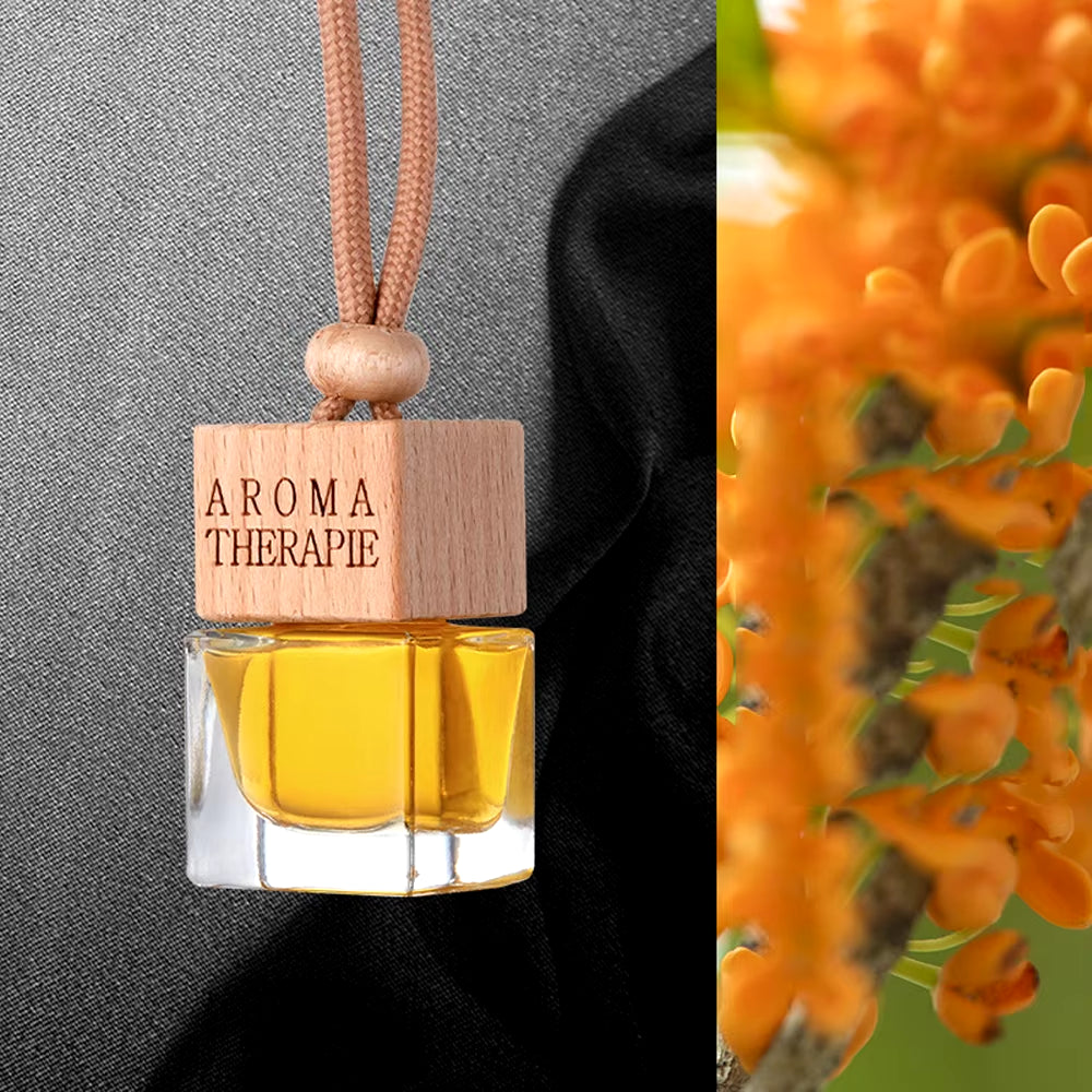 10Ml Car Fragrance Pendant Perfume Oil Diffuser Air Freshener, High-End Rearview Mirror Pendant for Mercedes-Benz Bmw Toyota