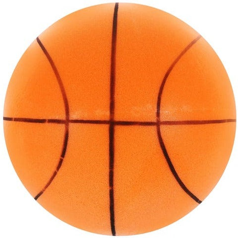Silent Indoor Basketball - Franco Gadgets