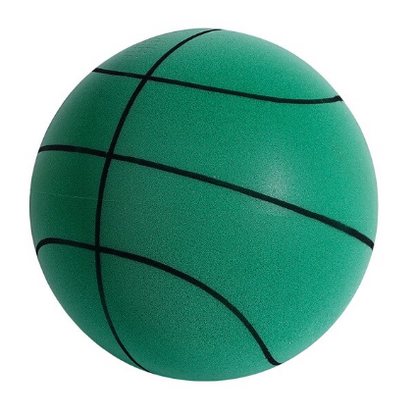 Silent Indoor Basketball - Franco Gadgets