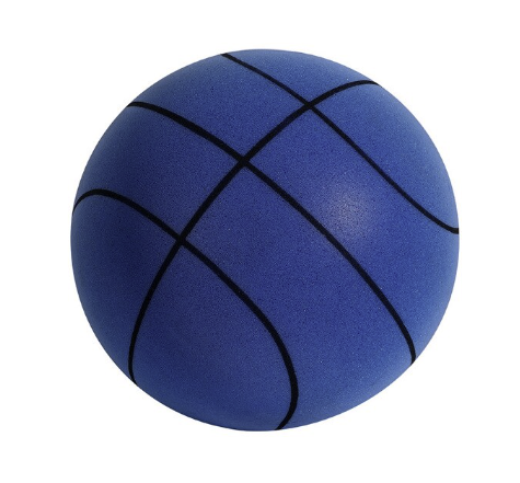 Silent Indoor Basketball - Franco Gadgets