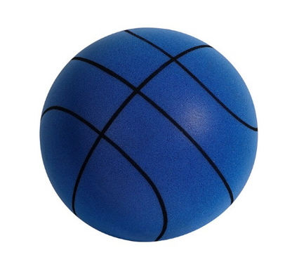 Silent Indoor Basketball - Franco Gadgets