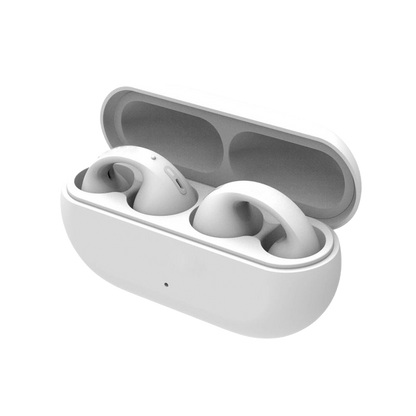 Showerproof Earbuds - Franco Gadgets