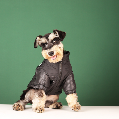 Dog Winter Jacket - Franco Gadgets