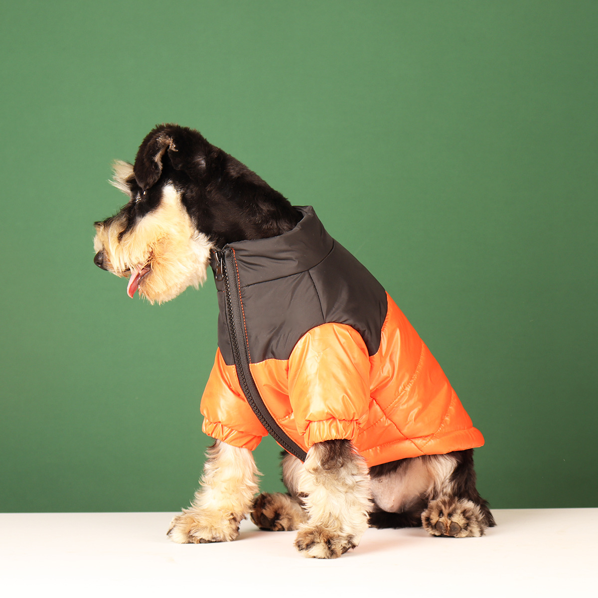 Dog Winter Jacket - Franco Gadgets
