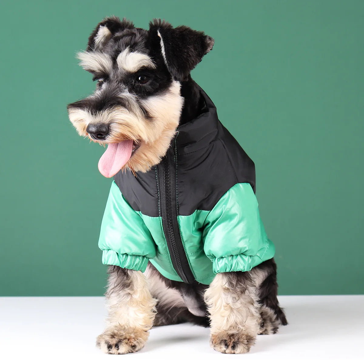 Dog Winter Jacket - Franco Gadgets